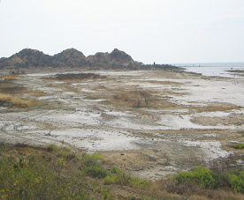 Baha de playa entre Tumbes y Zorritos,
                          primer plano