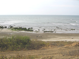 Panamericana Norte: Playa entre Tumbes y
                          Zorritos