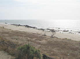 Panamericana Norte zwischen Tumbes und
                          Zorritos, Endlos-Strand