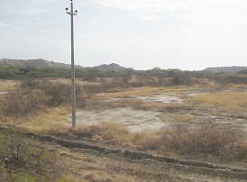 Panamericana Norte zwischen Zorritos und
                      Mancora, Steppe (02)