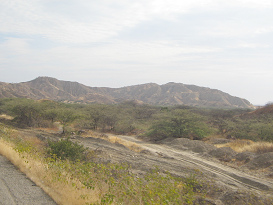 Panamericana Norte zwischen Zorritos und
                      Mancora, W�stenberge