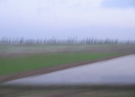 Panamericana Norte zwischen Mancora und
                        Piura, Reisfelder