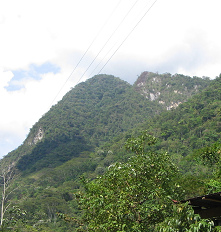 Urwaldberge, Nahaufnahme