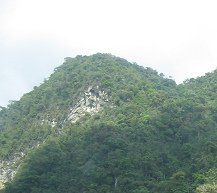 Urwaldberg, Nahaufnahme