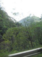 Urwaldberge in der Ferne