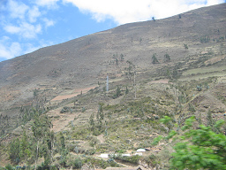 Kahler Berghang (01)