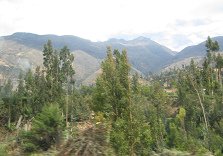 Sicht auf das Tal mit etwas Wald im
                      Vordergrund