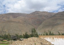 Terreno agrario, protegido por un muro
                        (02)