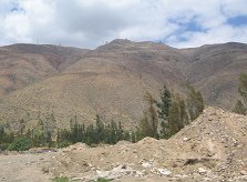 Llanura agraria con vista a las monta�as