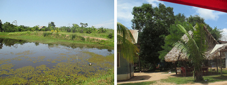 Mundo
                      shipibo: criadero de peces - y casas
