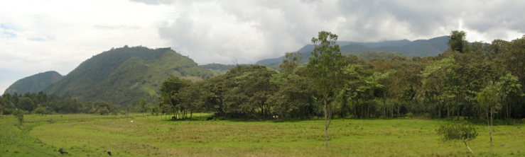 El panorama de las cordilleras de los montes
                      en la selva en el norte de Oxapampa con su
                      representación particular de fuerza y armonía por
                      los montes regularmente redondos