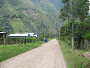 Der Feldweg zum Waldrand