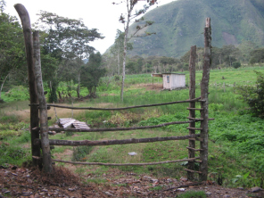 Ein Tor ohne Scharnier, Nahaufnahme