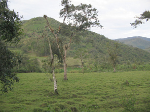 Panorama in Richtung S�den 01