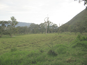 Panorama in Richtung S�den 03