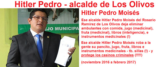 Der Hitler-Peter von Los Olivos
                                  in Lima: Dieser B�rgermeistr Rosario
                                  Ram�rez l�sst Strassenh�ndler
                                  vernichten, die wertvolles Essen
                                  anbieten, S�fte (medizinisch), Fr�chte
                                  (medizinisch wertvoll), B�cher
                                  (Intelligenz), und auch medizinische
                                  Instrumente (!). Dieser
                                  Hitler-B�rgermeister Pedro Mois�s
                                  raubt der Bev�lkerung das Br�tchen,
                                  den Saft, Fr�chte, B�cher und
                                  medizinische Instrumente - auch St�hle
                                  (!) - und gleichzeitig sch�tzt dieses
                                  Hitler-Arsch die kriminellen Casinos
                                  (!!!!!)