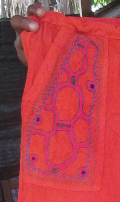 das Muster der Schildkr�te, Nahaufnahme